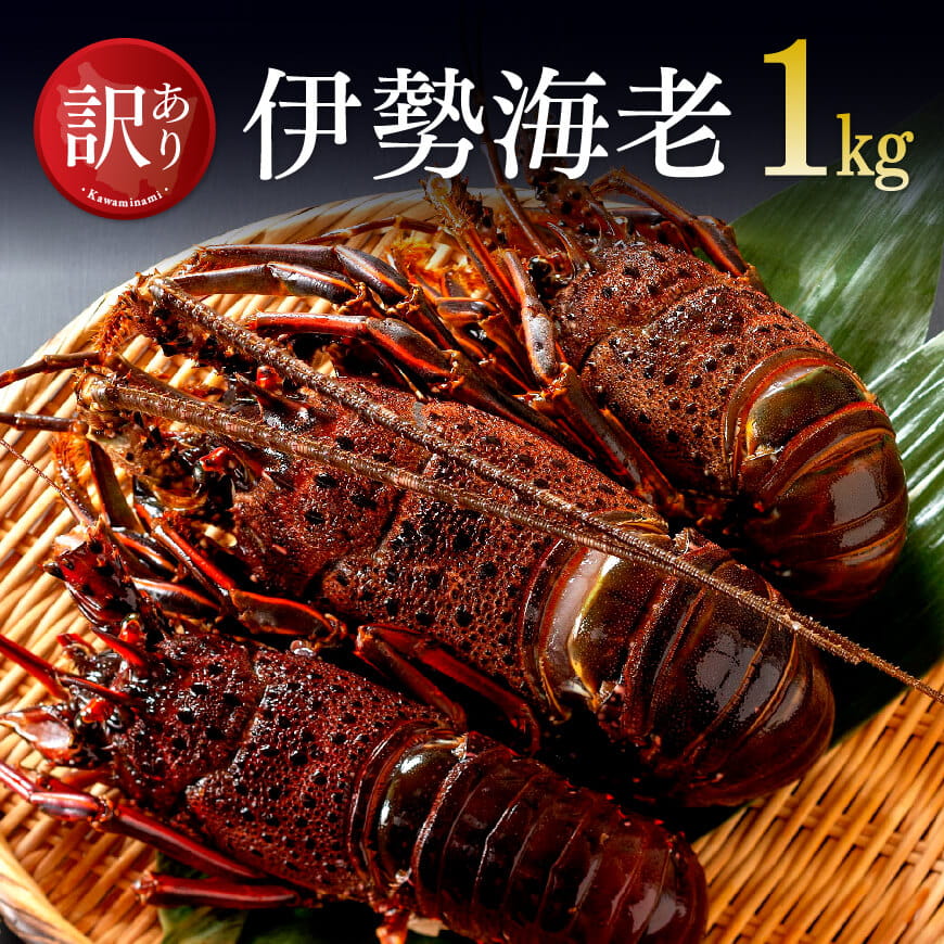 [訳あり]冷凍伊勢海老1kg(2〜7尾) 伊勢海老 伊勢えび えび[C01706]