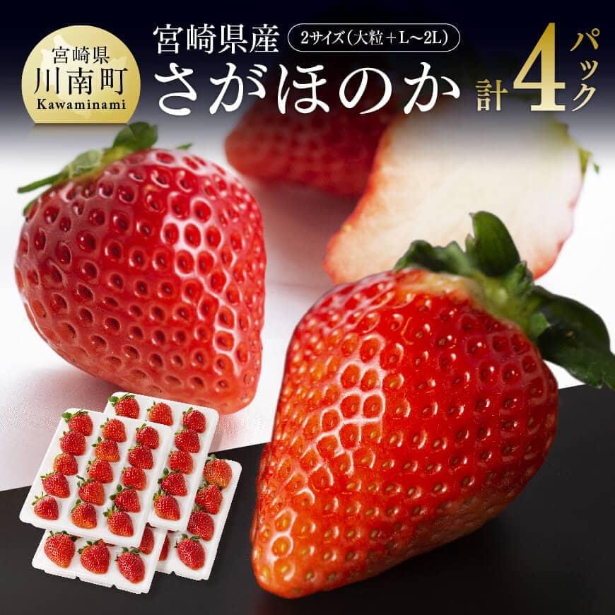 [令和8年発送]宮崎県産いちご さがほのかセット(大粒×2パック・L〜2L×2パック) いちご イチゴ 苺 [C04601]