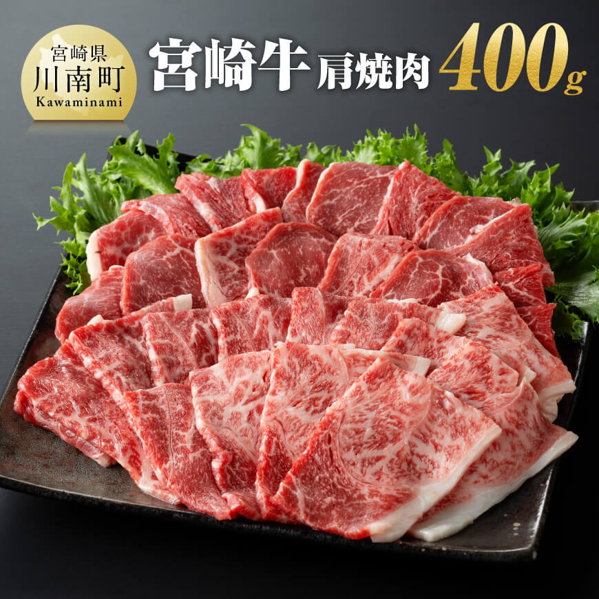 宮崎牛肩焼肉400g 牛肉 宮崎牛[E11003]