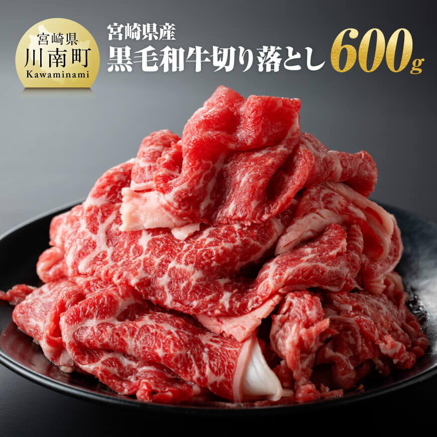 宮崎県産 黒毛和牛 切り落とし 600g 牛肉 宮崎牛[E11009]