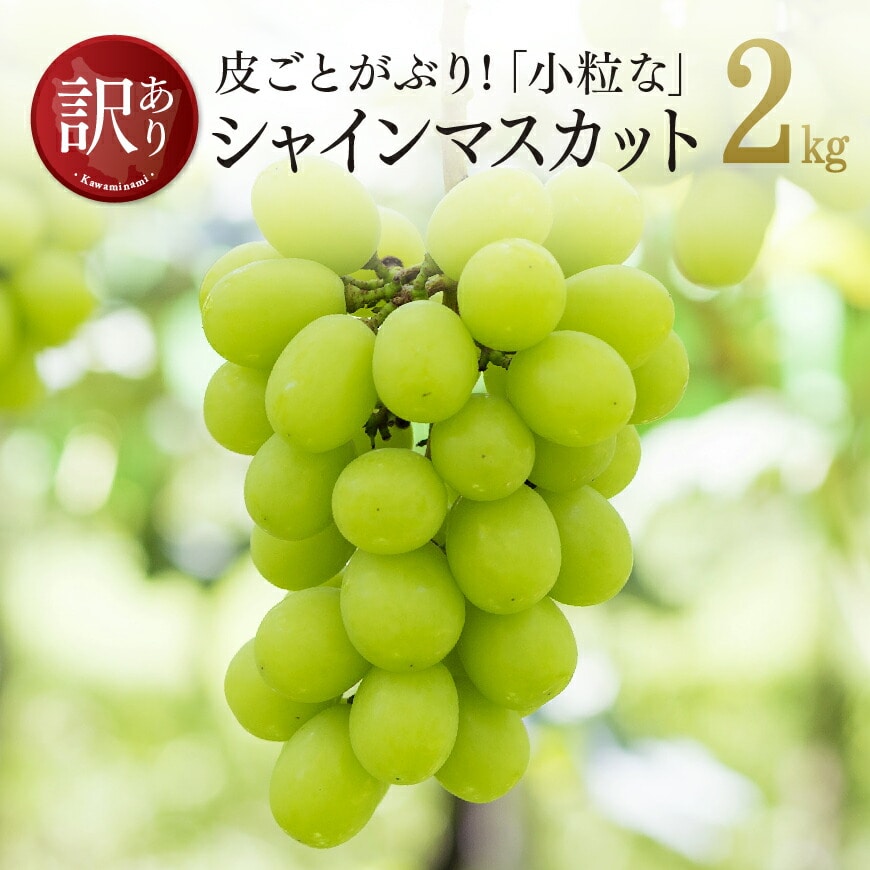 [訳あり]小粒なシャインマスカット(種なし)2kg ぶどう ブドウ 葡萄[D03401]