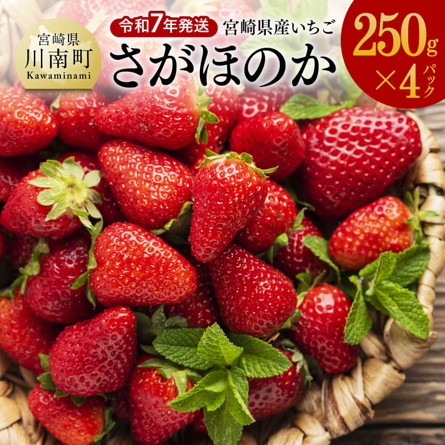 令和7年発送 宮崎県産いちご「さがほのか」250g×4パック 苺 いちご イチゴ[D03805]