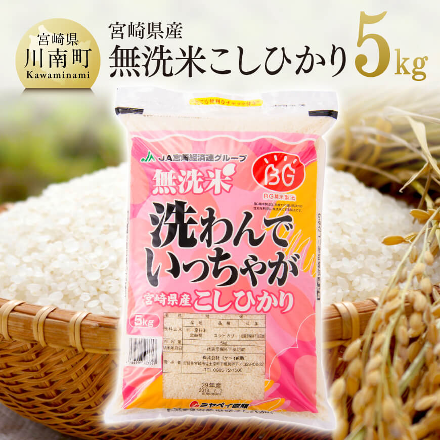 [令和6年産]宮崎県産 無洗米こしひかり5kg 米 お米 新米[D01601]