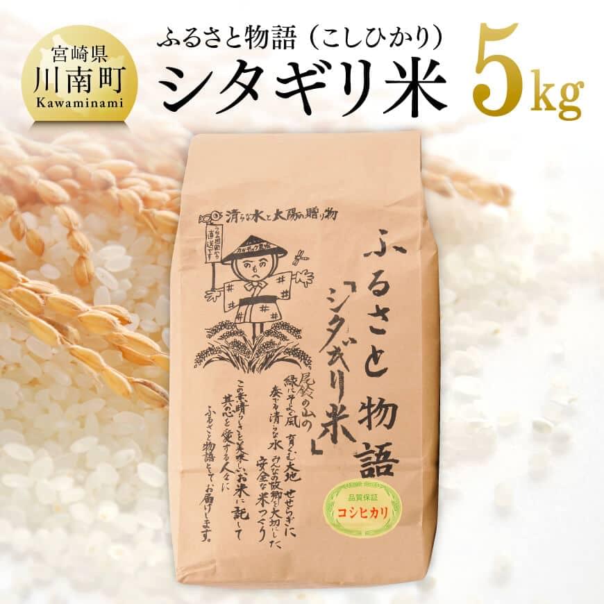 [令和6年産]宮崎県産こしひかり「シタギリ米」5kg 米 お米 新米[D04201]