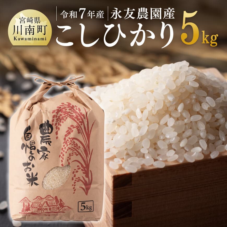 [令和7年産]永友農園産「こしひかり」5kg 米 お米 新米 白米[C10602]