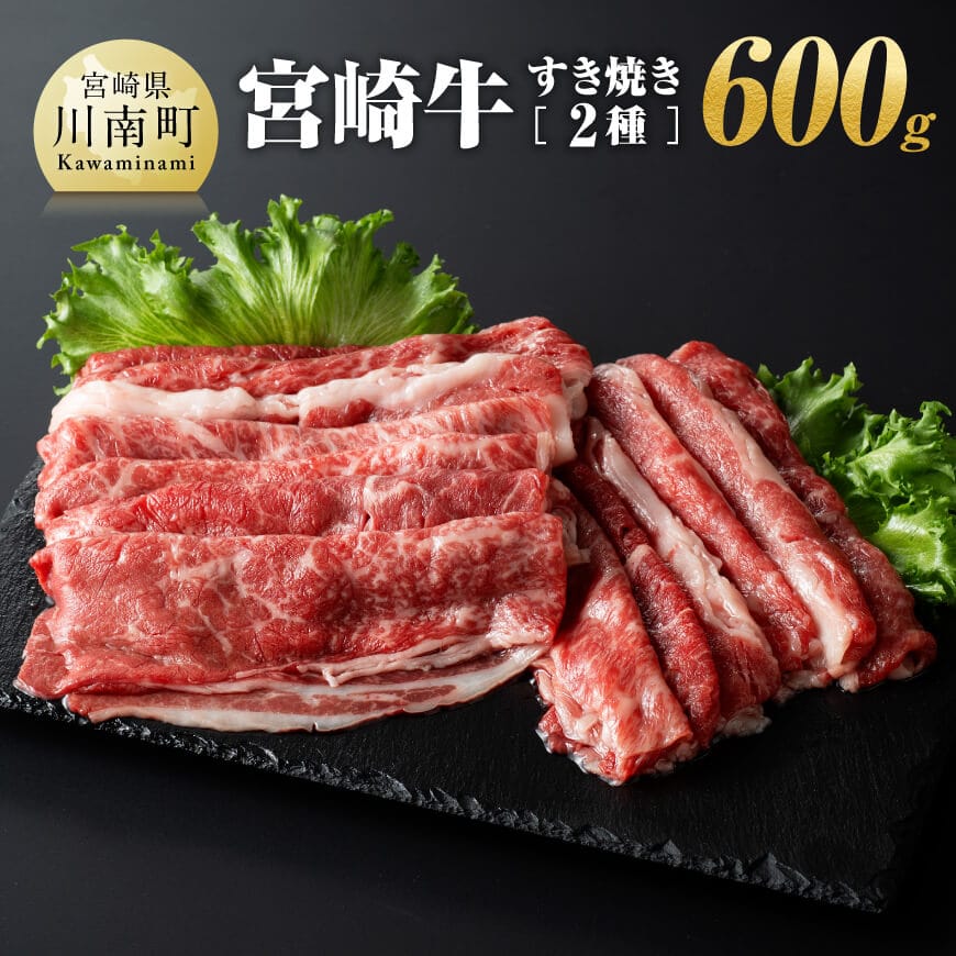 宮崎牛すき焼き2種600g 牛肉 宮崎牛[E11004]