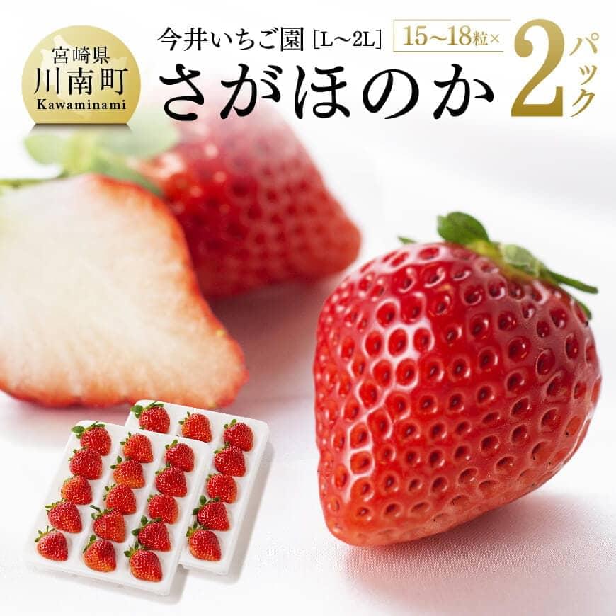 【令和8年発送】宮崎県産いちご　さがほのかL～2L（15～18粒入）×2パック　いちご イチゴ 苺　[C04602]