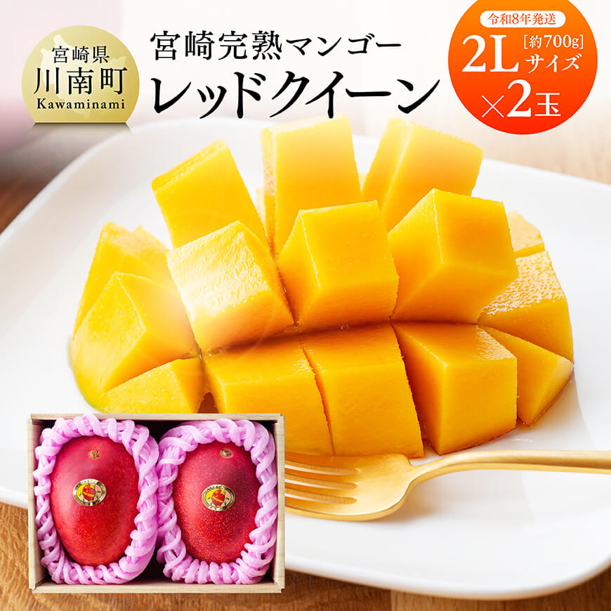 [令和8年発送]宮崎県産完熟マンゴー 「レッドクイーン」2L×2玉 果物 フルーツ マンゴー[C03210]