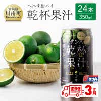 [3ヶ月定期便]※地域限定※へべす酎ハイ「サンA乾杯果汁」缶(350ml×24本) 酒 酎ハイ お酒 アルコール 定期便[F3036t3]