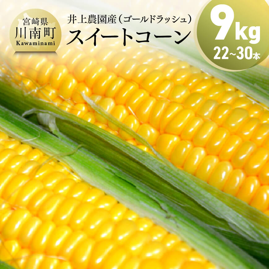 [令和7年発送]宮崎県産とうもろこし 井上農園産スイートコーン「ゴールドラッシュ」4.5kg×2 とうもろこし スイートコーン[D03902]