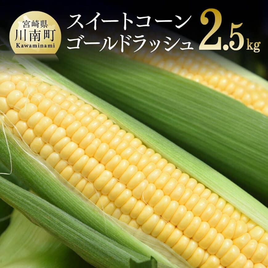 [令和8年発送]宮崎県産とうもろこし 朝どれ!守部さんちのゴールドラッシュ2.5kg とうもろこし スイートコーン[C06407]