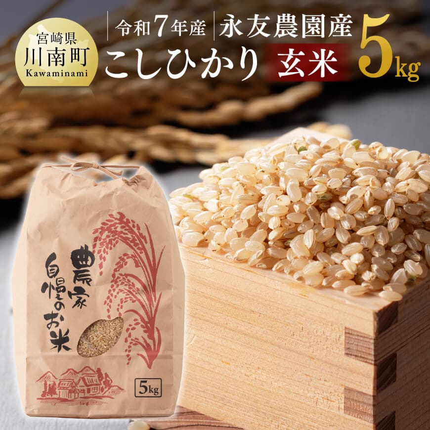 [令和7年産]永友農園産「こしひかり(玄米)」5kg 米 お米 玄米 新米[C10601]