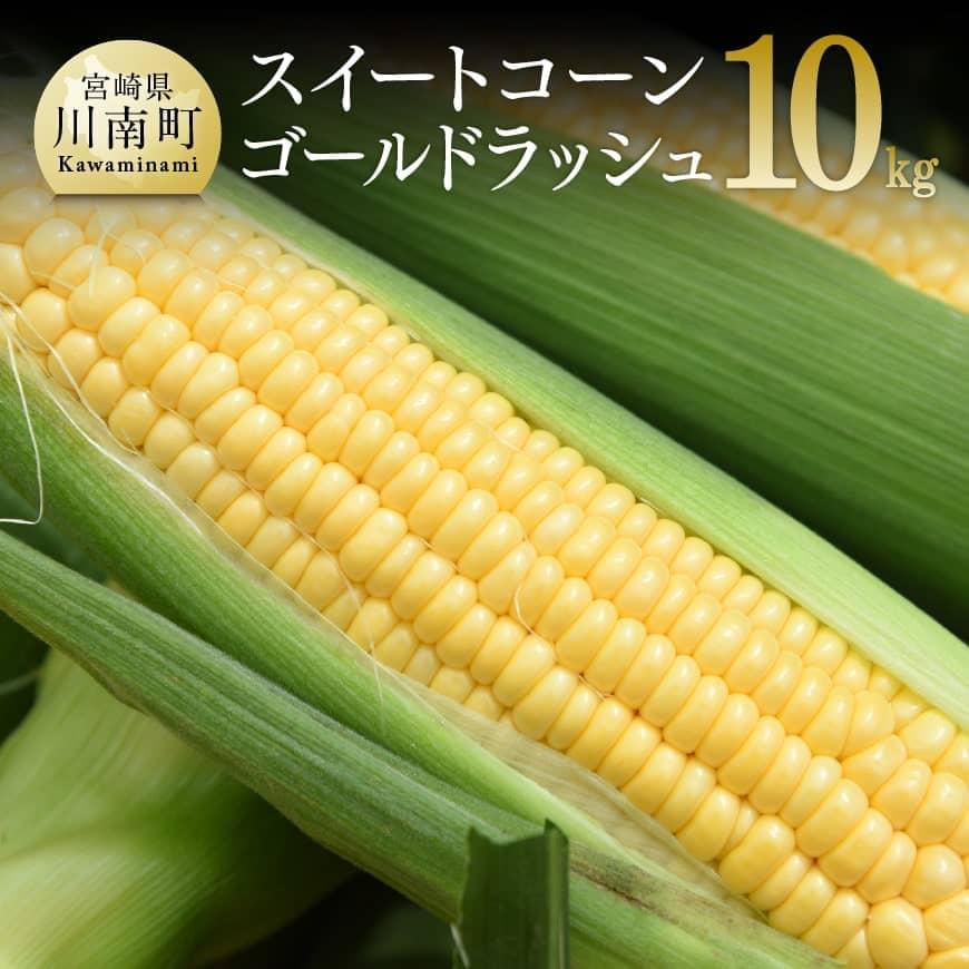 [令和8年発送]宮崎県産とうもろこし 朝どれ!守部さんちのゴールドラッシュ10kg とうもろこし スイートコーン 野菜 [C06414]