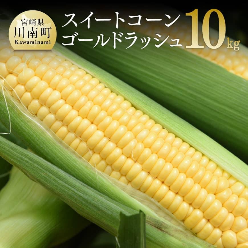 [令和7年発送]朝どれ!守部さんちのゴールドラッシュ10kg とうもろこし スイートコーン 野菜 [D06412]