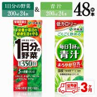 [3ヶ月定期便]伊藤園1日分の野菜&青汁(紙パック)48本 飲料 野菜ジュース 定期便[D07333t3]