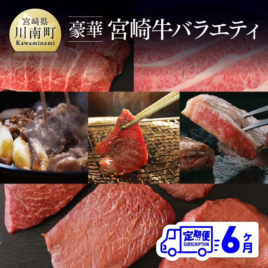 [定期便] 豪華! 宮崎牛 バラエティ6ヶ月コース 牛肉 牛 肉 定期便[G7426]