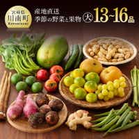 産直　おすず村　厳選詰め合わせセット（大）　野菜 果物[G3803]