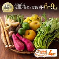 [定期便]「おすず村直送」野菜と果物の厳選詰め合わせセット(小) 野菜 果物[G3802]