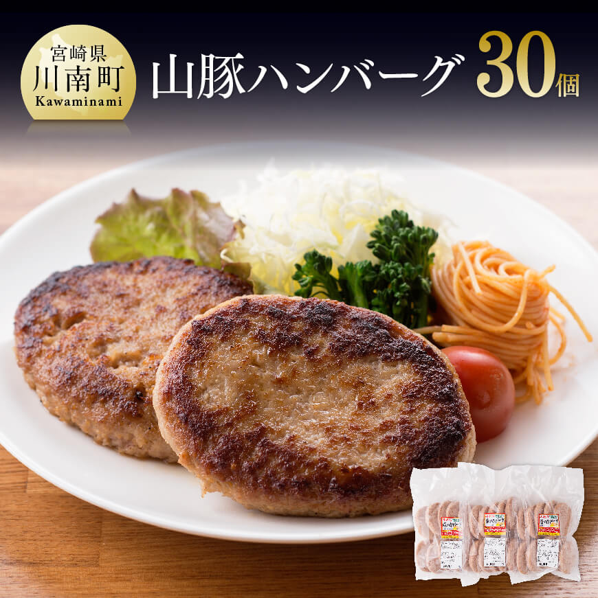 山豚豚肉ハンバーグ30個! 豚肉 加工品[G7504]