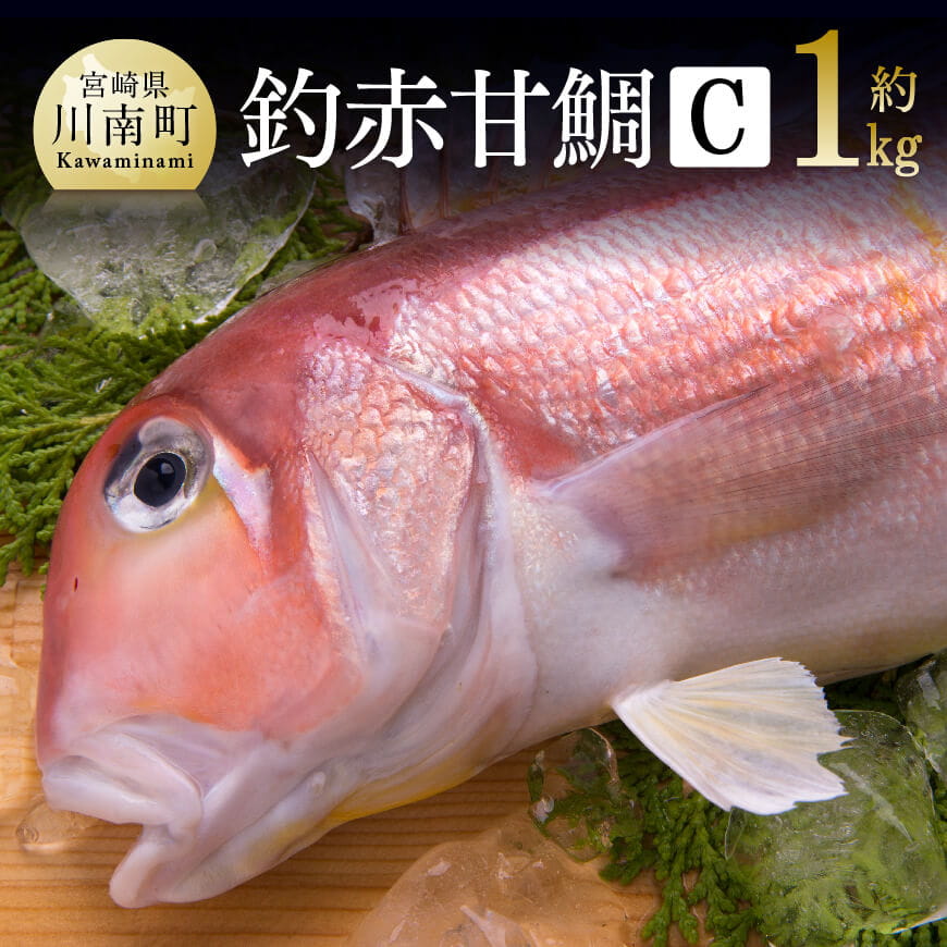 『釣赤甘鯛C』 鮮魚 魚介 魚[D04410]