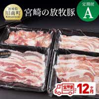 [12ヶ月定期便]宮崎の放牧豚定期便A(12ヶ月) 豚肉 豚 肉セット[G8102]