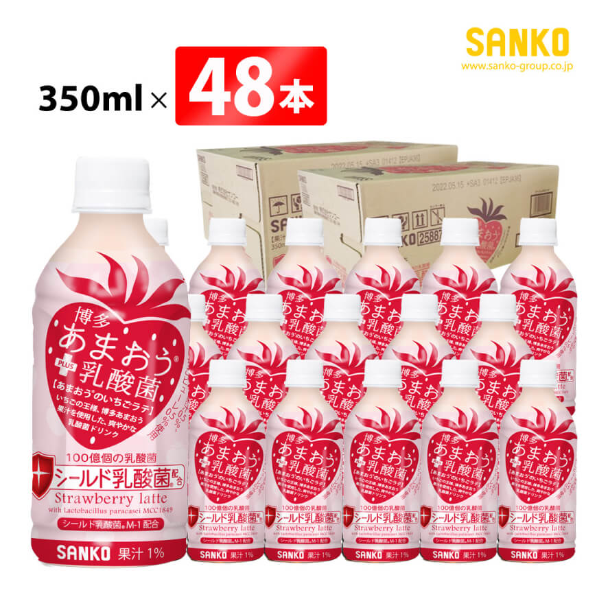 SANKO博多あまおうPLUS乳酸菌PET350ml×48本[飲料類 ソフトドリンク 紅茶 あまおうのいちごラテ 長期保存 宮崎県 川南町 送料無料][G8810]