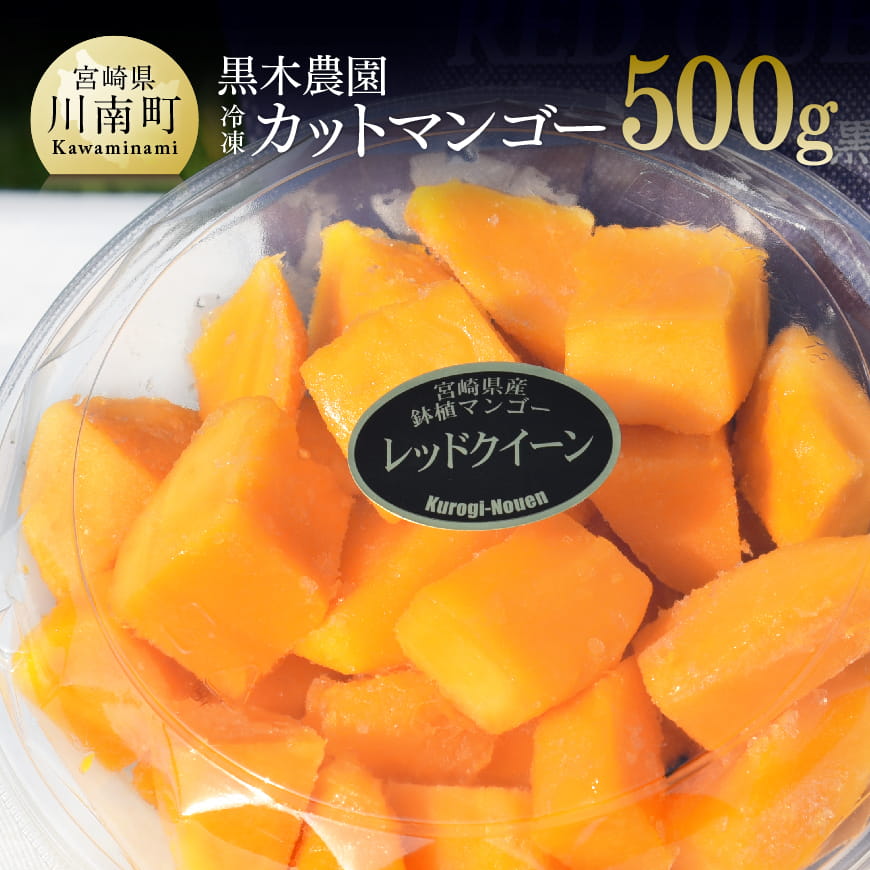 宮崎県産マンゴー 黒木農園の冷凍カットマンゴー(種なし)500g マンゴー 果物 季節限定 [C03202]