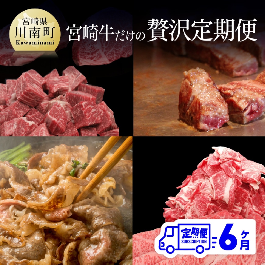 [定期便] 宮崎牛だけの 贅沢定期便 6ヶ月コース 牛肉 牛 肉 定期便[G7427]