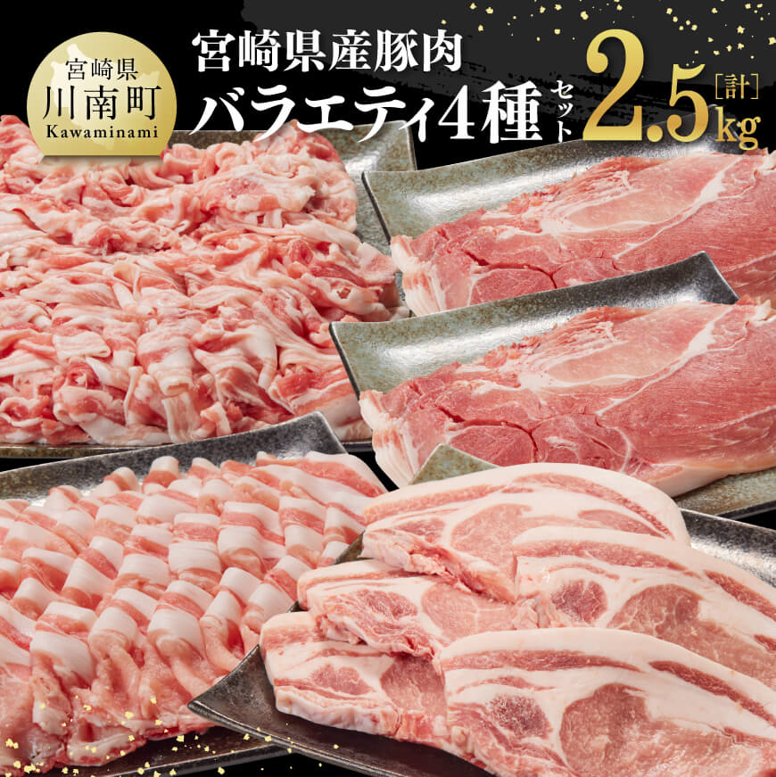 宮崎県産豚肉バラエティ4種2.5kg　豚肉[G7523]