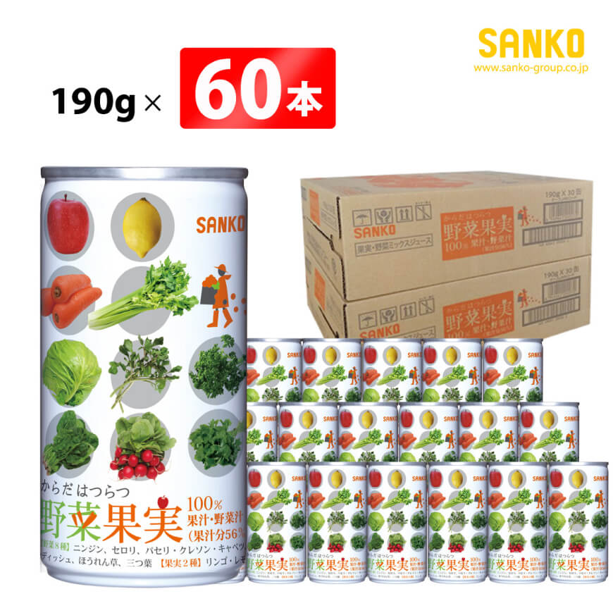 SANKO からだはつらつ 野菜果実(缶)　190g×60本【飲料類 ソフトドリンク 野菜 果汁 ミックスジュース 長期保存 宮崎県 川南町 送料無料】[G8811]