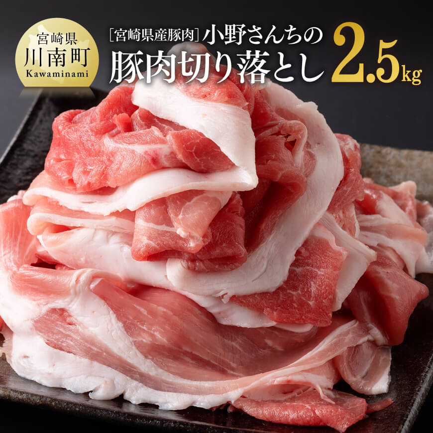 宮崎県産豚肉小野さんちの豚肉切り落とし 2.5kg 肉 豚肉 精肉[E10505]