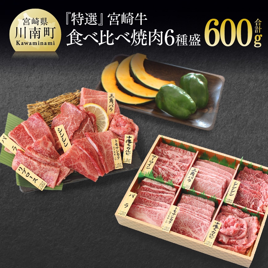 [特選]宮崎牛6種 焼肉食べ比べ 肉 牛肉 黒毛和牛[G7425]