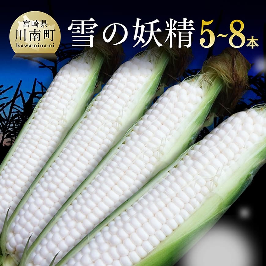 [令和8年発送]大山さんちのホワイトコーン(雪の妖精)5〜8本 とうもろこし スイートコーン[C07105]