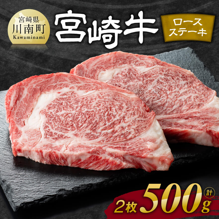 宮崎牛ロースステーキ2枚500g 牛肉 宮崎牛[E11106]