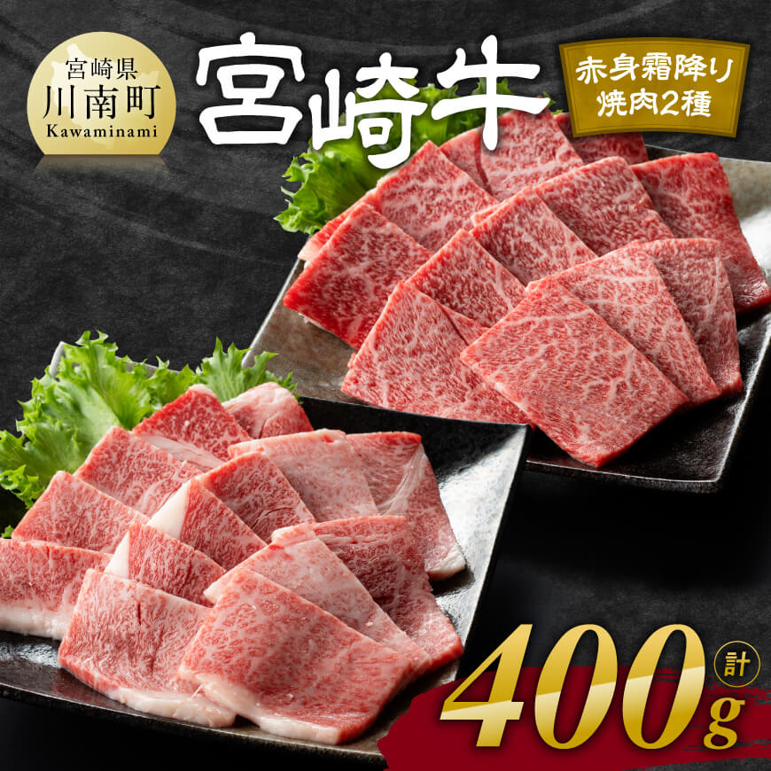 宮崎牛赤身(ウデorモモ)霜降り焼肉2種400g 牛肉[D11123]
