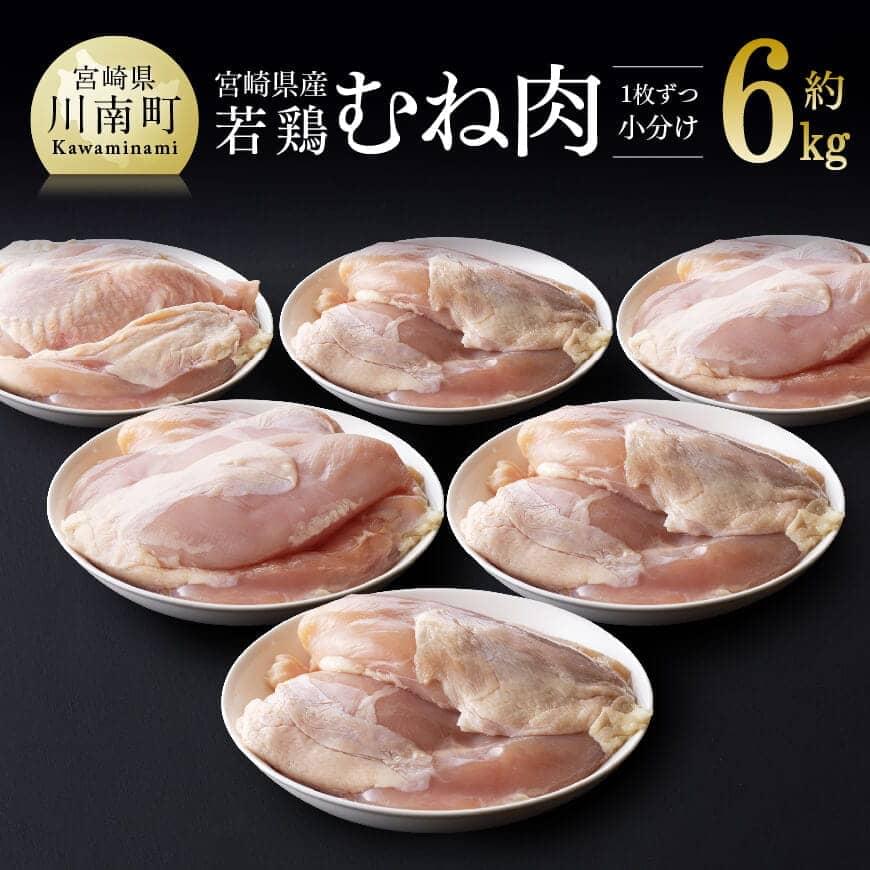 宮崎県産若鶏むね肉小分けで約6kg 鶏肉[D07808]
