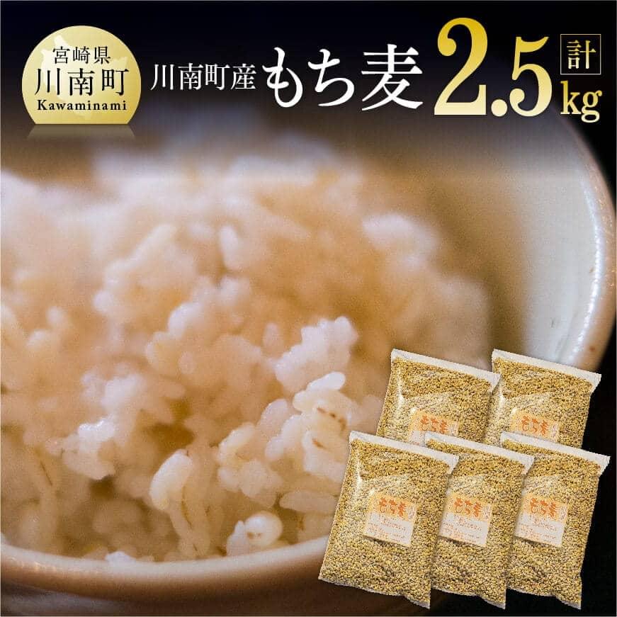 令和7年産 もち麦 2.5kg(500g×5袋) もち麦 宮崎県産[C05401]