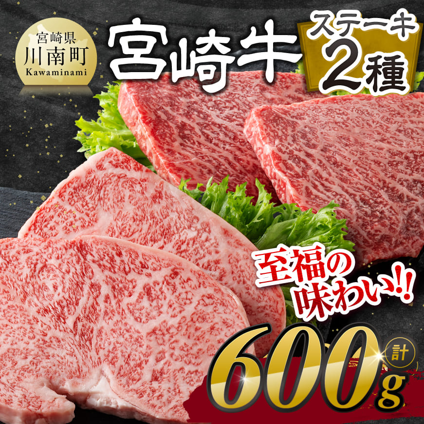 宮崎牛ステーキ2種 600g 牛肉[E11118]