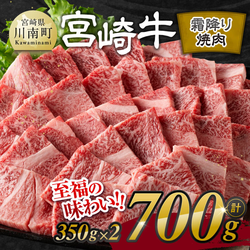 宮崎牛霜降り焼肉 700g (350g×2) 牛肉 宮崎牛[E11122]