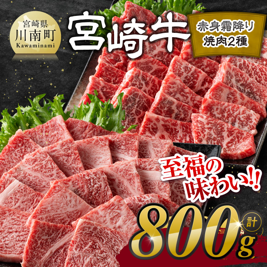 宮崎牛赤身霜降り焼肉2種800g　牛肉 [E11124]