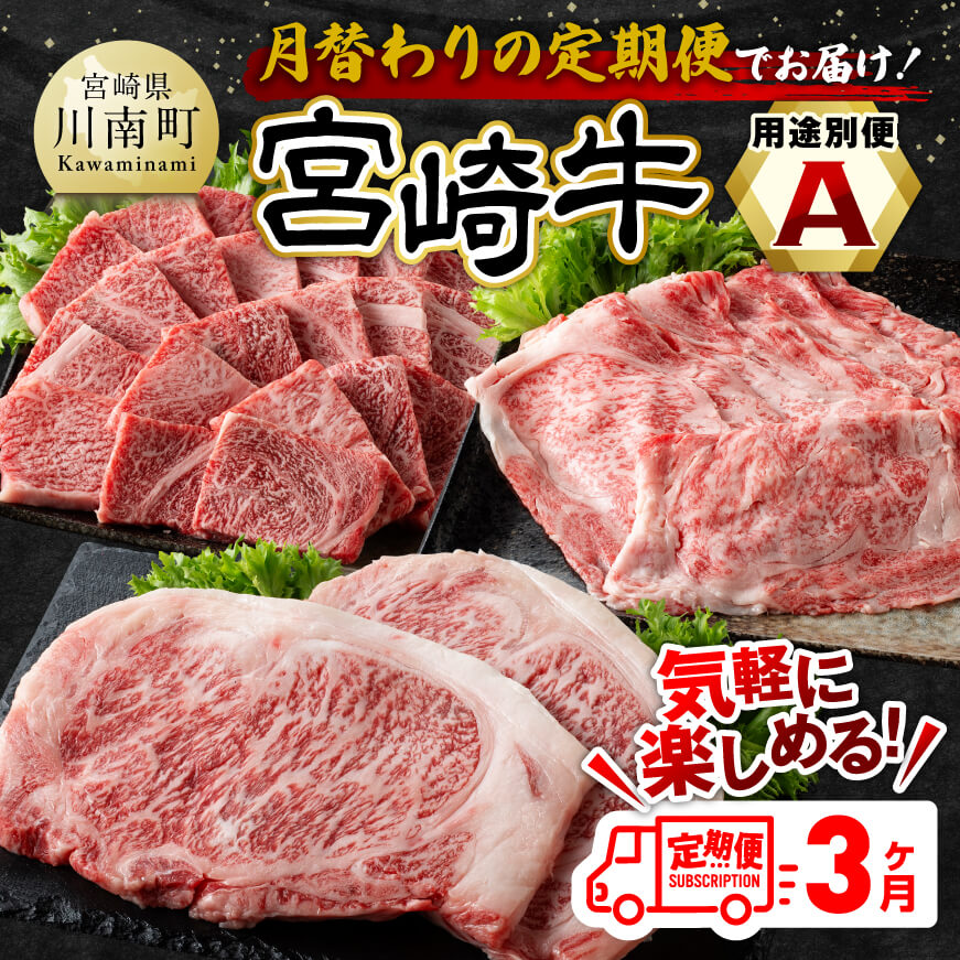 [3ヶ月定期便]宮崎牛 用途別便 A 肉 牛肉 精肉[E11127]