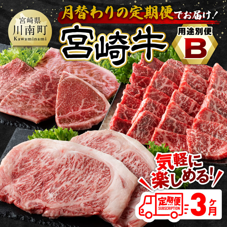 [3ヶ月定期便] 宮崎牛 用途別 便 B 牛肉 宮崎牛[E11128]