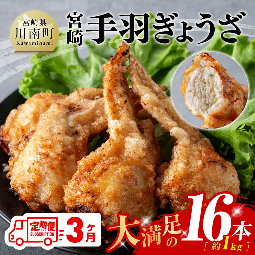 [3ヶ月定期便]宮崎 手羽ぎょうざ 16本 1kg [ 鶏肉 鳥 手羽先 手羽 餃子 ぎょうざ ギョーザ おつまみ 送料無料 ][E7214t3]