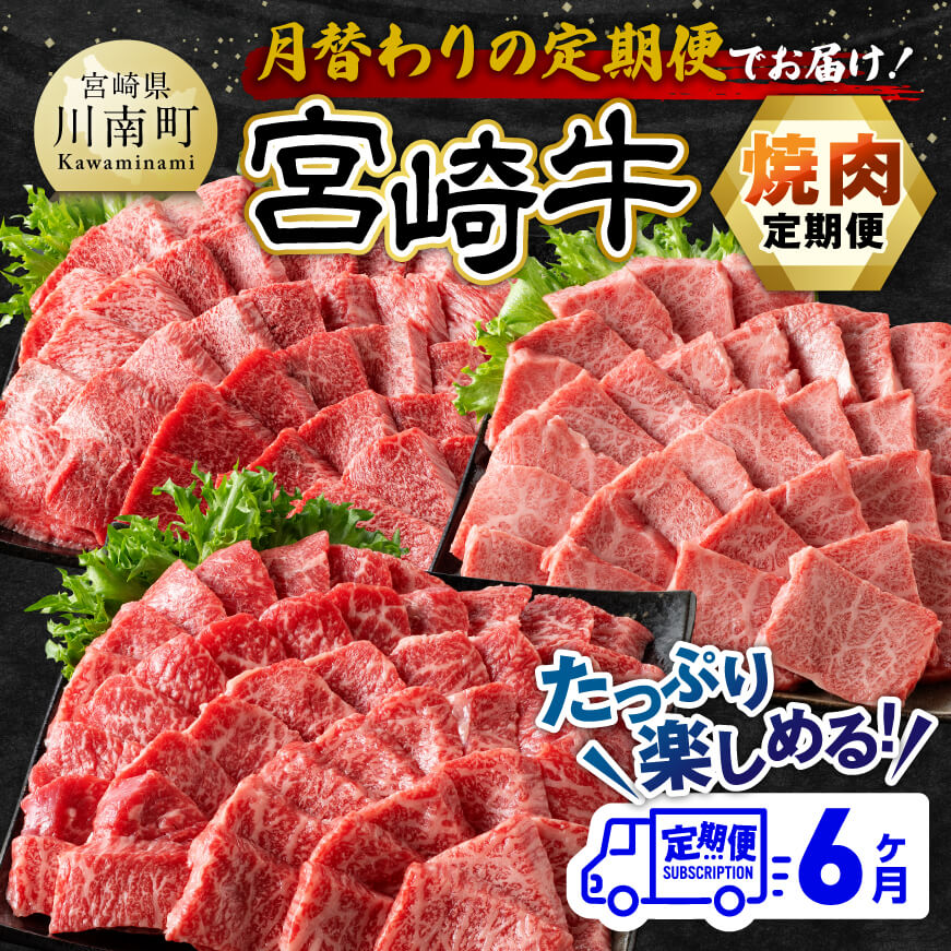 [6ヶ月定期便] 宮崎牛 焼肉 定期便 肉 牛肉 黒毛和牛[E11132t6]