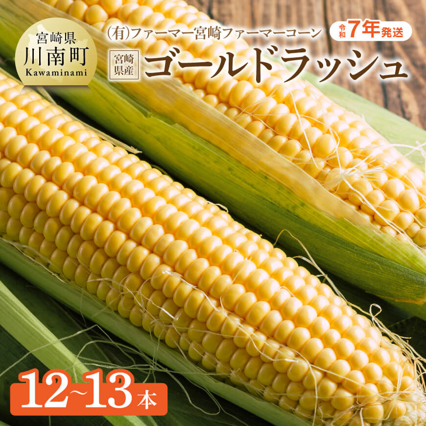 [令和7年発送]宮崎県産とうもろこし ファーマー宮崎 ファーマーコーン「ゴールドラッシュ」12〜13本 とうもろこし[D09001]