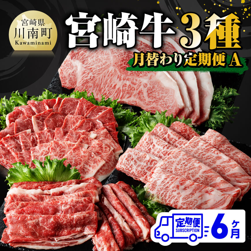 [6ヶ月定期便]宮崎牛3種月替わり定期便A 牛肉[E11012t6]