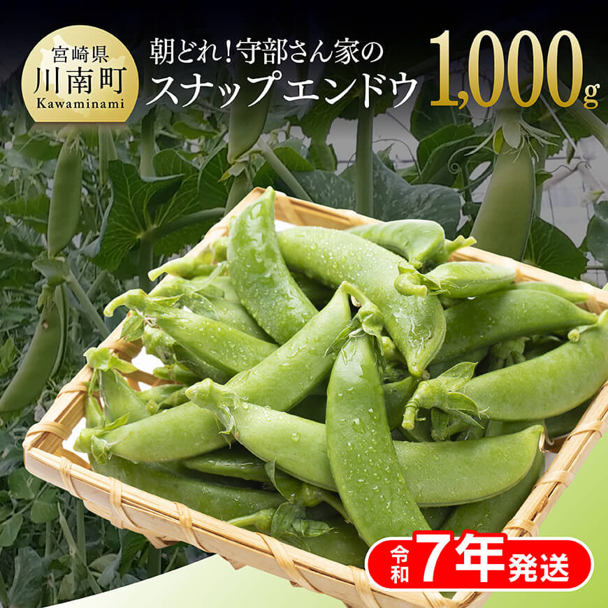 [令和7年発送]朝どれ!守部さん家のスナップエンドウ1.0kg 野菜 枝豆 2024年発送[D06409]