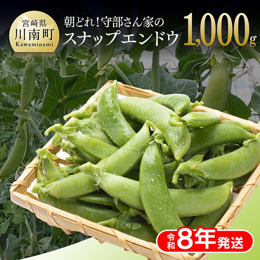 [令和8年発送]朝どれ!守部さん家のスナップエンドウ1.0kg 野菜 枝豆 2026年発送[C06415]
