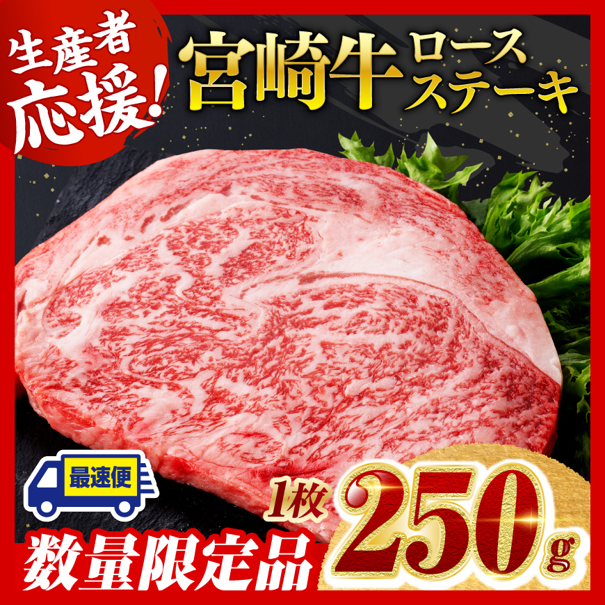 [数量限定]宮崎牛ロースステーキ1枚(250g) 肉 牛肉 黒毛和牛[D0601]