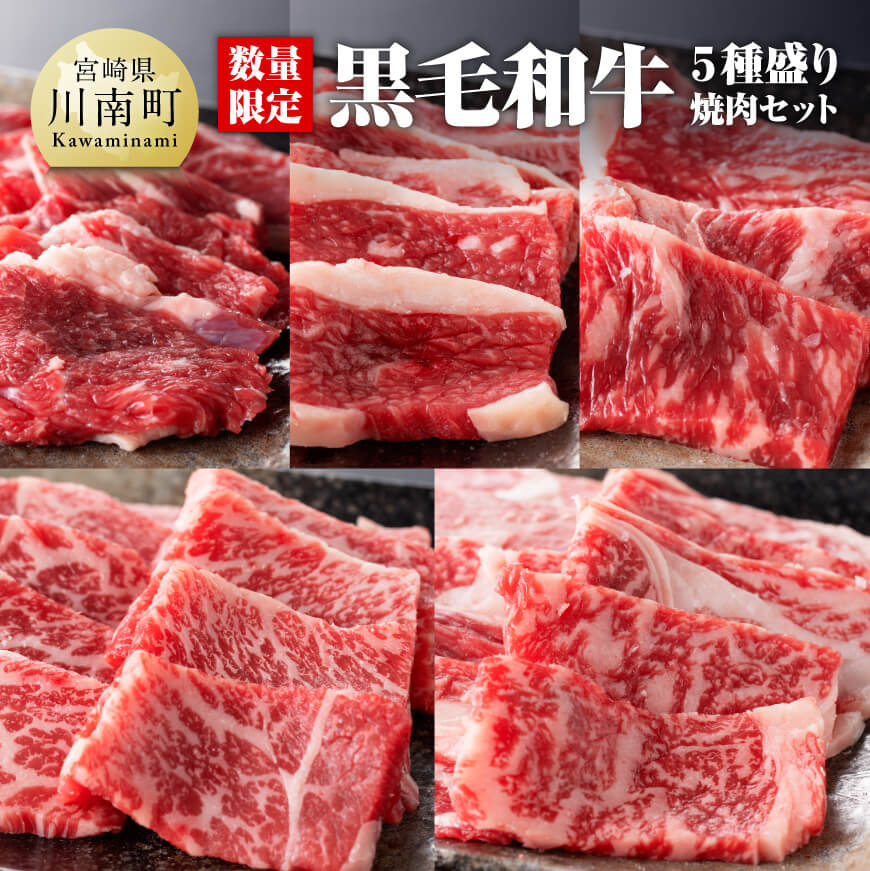 黒毛和牛5種盛り焼肉セット(数量限定)300g 牛肉[D0637]